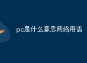 pc是什么意思网络用语