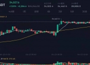 BTC价格揭秘：数字货币巨头的价值波动与未来趋势