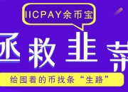 IICPay余币宝：给囤着的币找条“生路” 合伙人收益计划月入2W不是梦