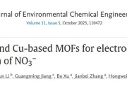 今日推送：双配体铜基MOFs电催化还原NO3-的研究