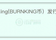 BurnKing(BURNKING币）发行价多少钱？